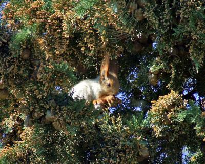 Прикрепленное изображение: DSCF6550.jpg